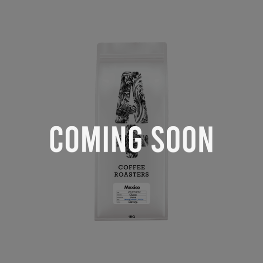 Mexico San Antonio (Filter)